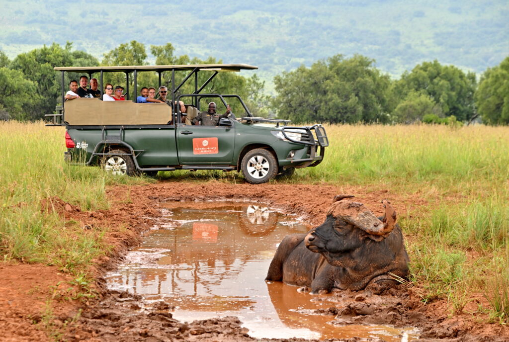 African Hills Safari Lodge & Spa